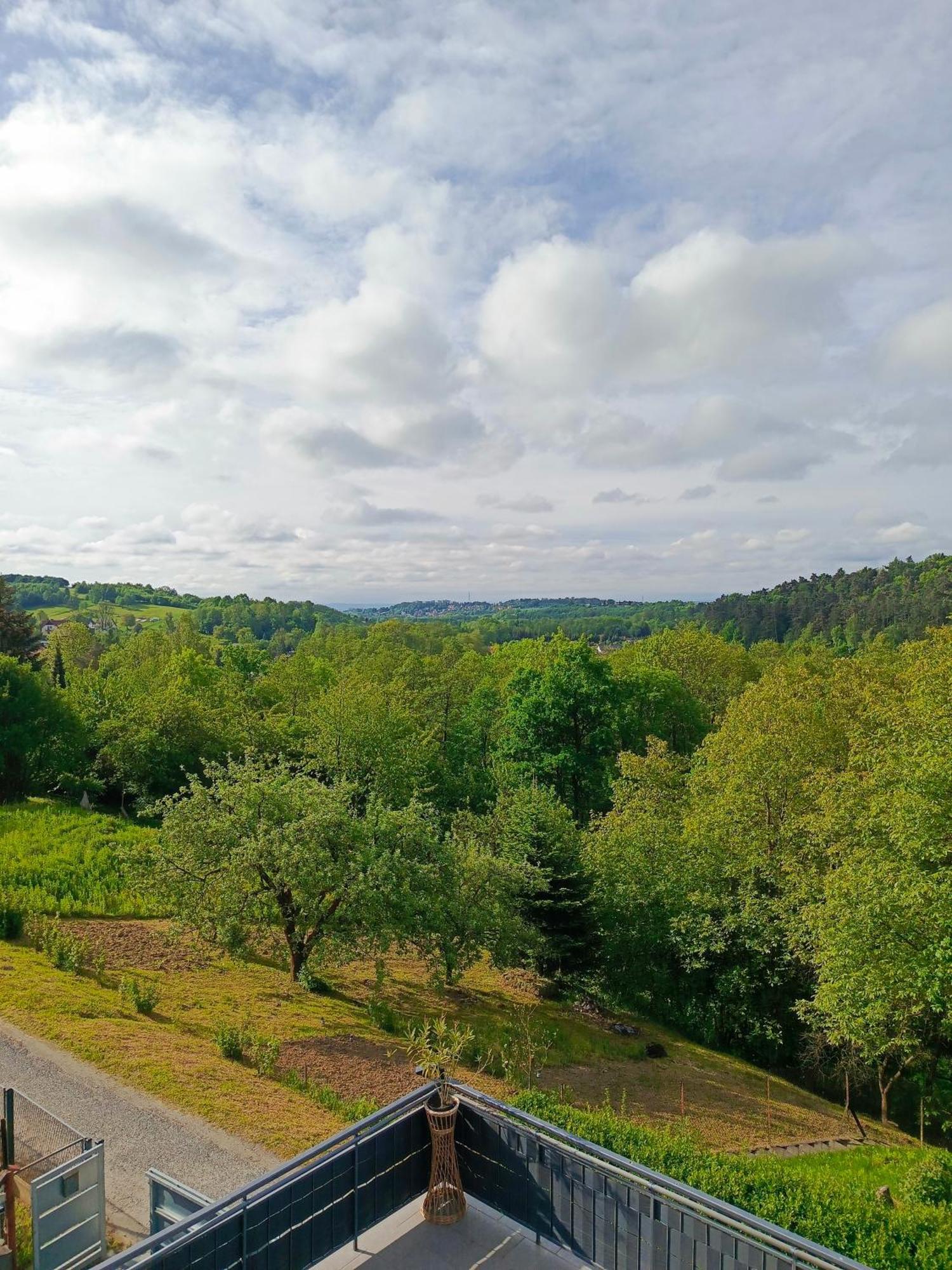 Noclegi U Ewusi 2 Januszowice  Bagian luar foto